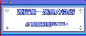 微信搜一搜引流全系列课程，日引精准粉500+（8节课）百度网盘插图