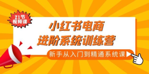 小红书电商高阶系统教程，新手从入门到精通系统课百度网盘插图