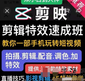 特效罗剪辑特效速成班：一部手机玩转短视频提供上千款特效素材插图