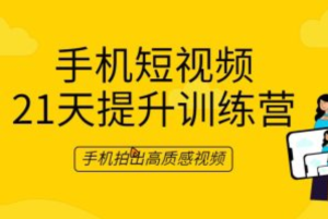 手机摄影技巧-手机摄影21天提升训练营，手机拍出有意境的照片百度网盘插图