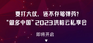 做多中国・2023洪榕云私享会百度网盘插图