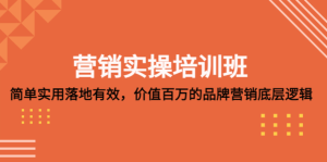 营销实操培训班：简单实用落地有效，价值百万的品牌营销底层逻辑百度网盘插图