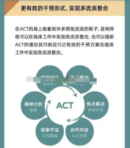 ACT疗法实录与访谈（创始人亲授）百度网盘插图