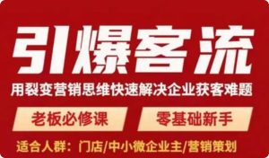 引爆客流，用裂变营销思维快速解决企业获客难题百度网盘插图