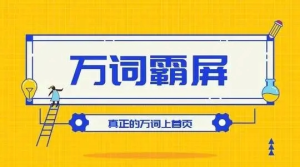 百度万词霸屏实操项目引流课，30天霸屏10万关键词百度网盘插图