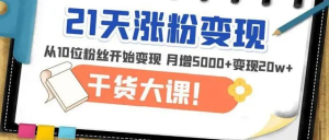 21天精准涨粉变现干货大课：变现月增5000+变现20w+百度网盘插图