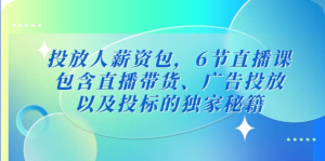 三里屯・投放人薪资包，6节直播课，直播带货、广告投放独家秘籍百度网盘插图