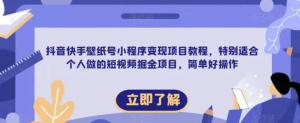 抖音快手壁纸号小程序变现项目教程，适合个人短视频掘金项目百度网盘插图