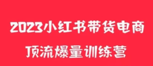 小红书电商爆量训练营，养生花茶实战篇，月入3W+百度网盘插图