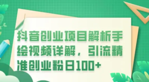 抖音创业项目解析手绘视频详解，引流精准创业粉百度网盘插图