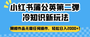 小红书蒲公英冷知识新玩法，照搬作品赚钱副业百度网盘插图