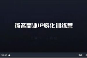 王扬名-商业IP训练营29集百度网盘插图