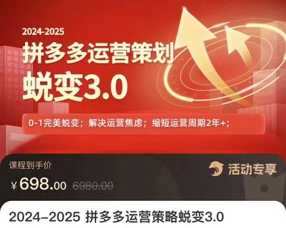 【电商上新】083.大力·2024-2025拼多多运营策略蜕变3.0 0~1完美蜕变，解决信息焦虑