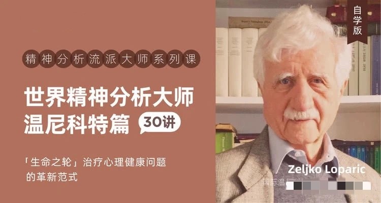 世界精神分析大师系列课——温尼科特篇【视频课30讲】插图