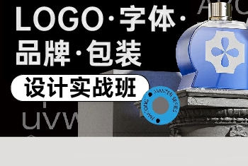 卢帅logo字体品牌包装设计实战班第5期插图