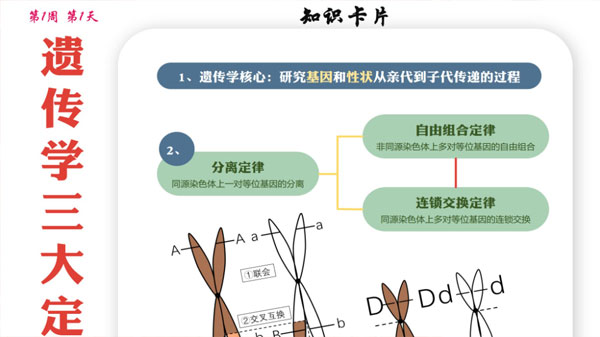 2024届高考高三各科梦想点当铺课件合集插图