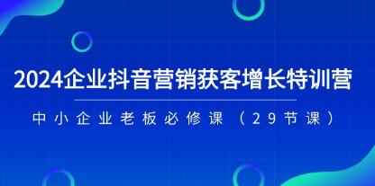 《企业抖音-营销获客增长特训营》中小企业老板必修课插图