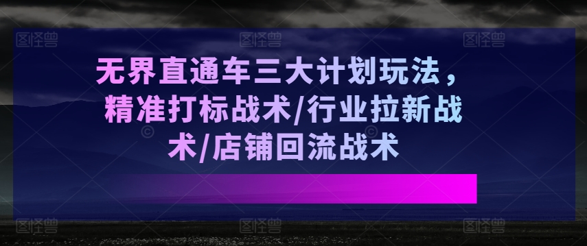 无界直通车三大计划玩法，精准打标战术/行业拉新战术/店铺回流战术插图