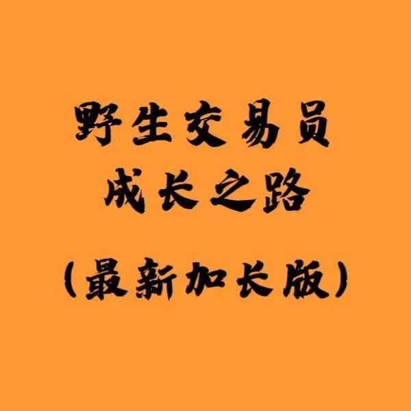 白仪野生交易员成长之路加长版资料PDF 2100多页图文干货插图