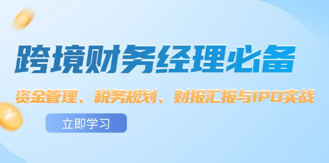 跨境财务经理必备：资金管理、税务规划、财报汇报与IPO实战插图