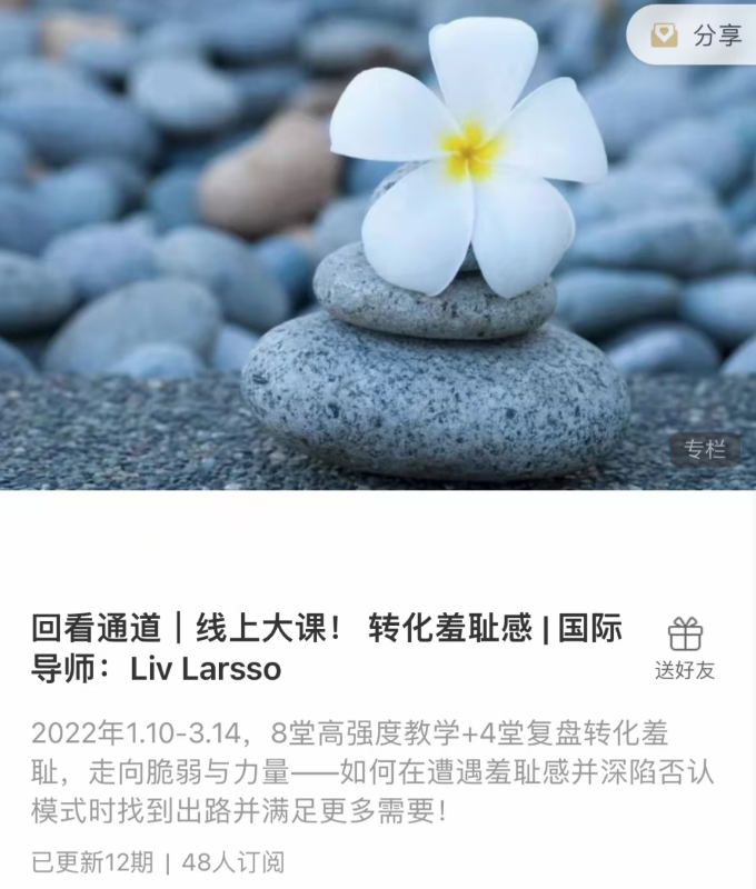 转化羞耻感 _ 国际导师：Liv Larsso插图