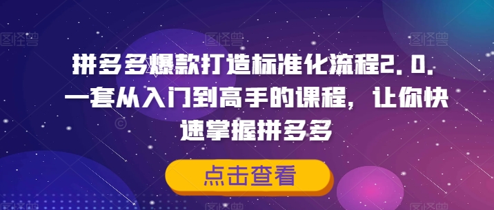 拼多多爆款打造标准化流程2.0，一套从入门到高手的课程，让你快速掌握拼多多插图