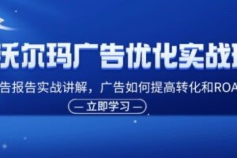 【网赚上新】090.沃尔玛广告优化实战班，广告报告实战讲解，广告如何提高转化和ROAS等