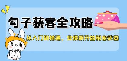 《勾子获客全攻略》业绩飙升的秘密武器插图