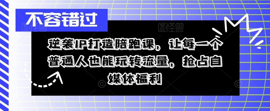 逆袭IP打造陪跑课，从0到1打造IP，精准定位+高效起号，抢占自媒体福利插图