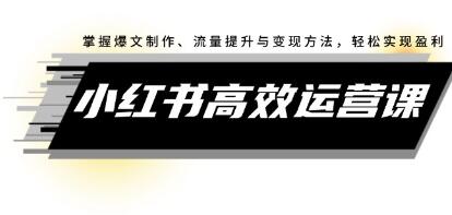 《小红书高效运营课》掌握爆文制作、流量提升与变现方法，轻松实现盈利插图