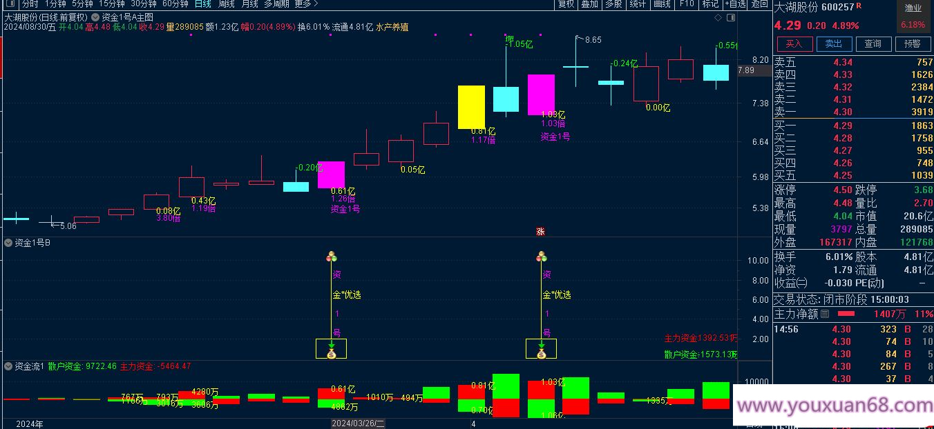 叶梵宸指标2024资金1号【每天盘中 主选①支】《无忧版》《K线追踪主散因果》插图