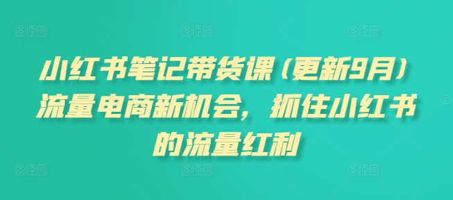 小红书笔记带货课(更新9月)流量电商新机会，抓住小红书的流量红利插图