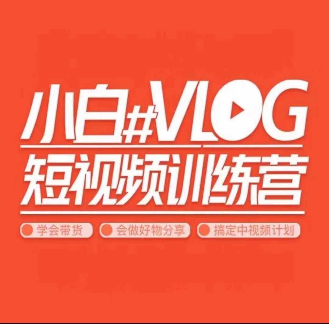 小呆说视－－小白VLOG短视频训练营（学会带货、好物、直播、中视频）插图