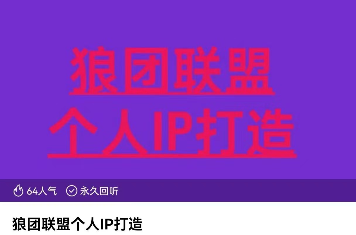 狼团联盟个人IP打造，个人IP变现全攻略：私域运营,微信技巧,公众号运营