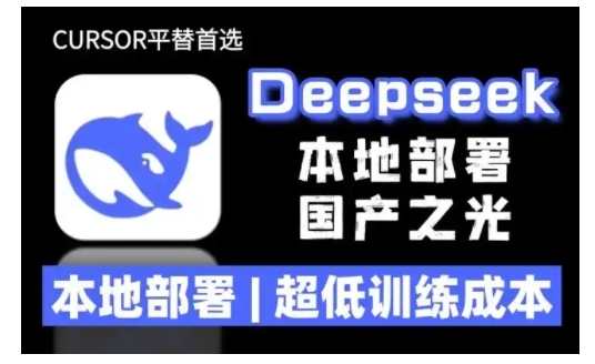 2025年deepseek R1 大型模型本地安装部署(文件+教程)本地部署，超低训练成本插图