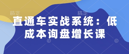 直通车实战系统：低成本询盘增长课