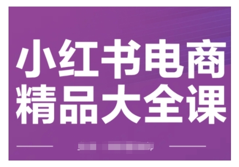 小红书电商精品大全课，快速掌握小红书运营技巧插图